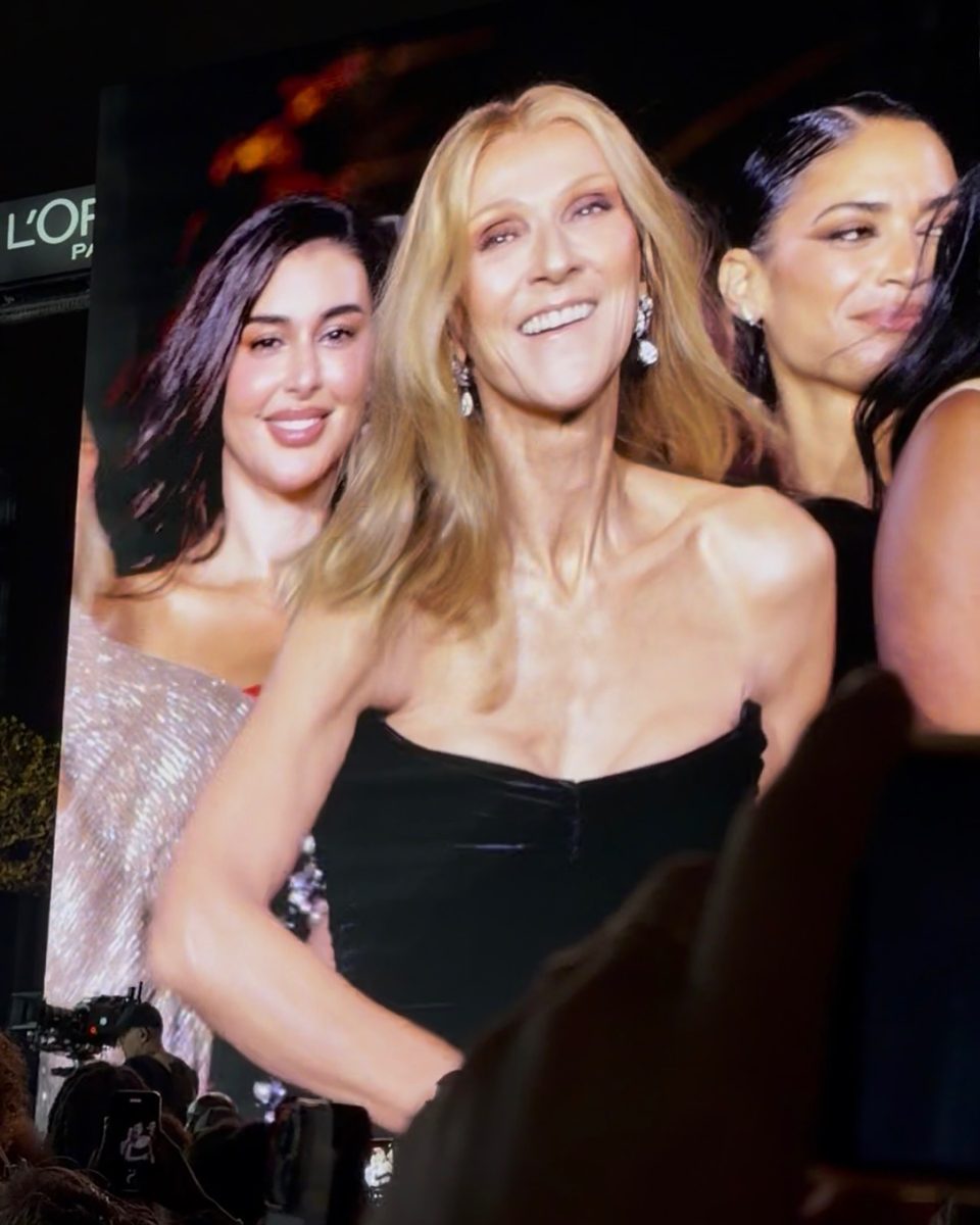 Photo prise sur place : Défilé L'Oréal